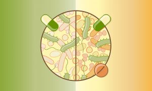 Illustration of a community of bacteria. Pills represent an antibiotic that can be used to treat an infection, and a second drug that could protect many gut bacteria from antibiotics.