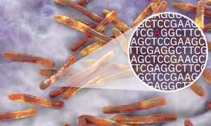 Tuberculosis bacteria with a zoom in to represent the bacterial genome and mutations in the genome