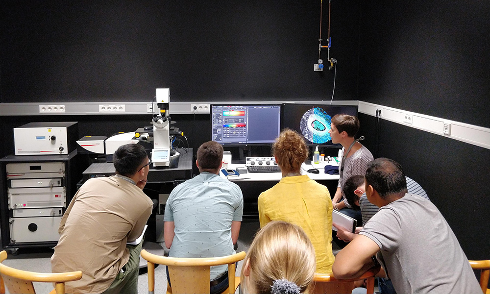 students looking a computer monitor and microscope