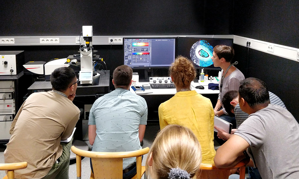 students looking a computer monitor and microscope