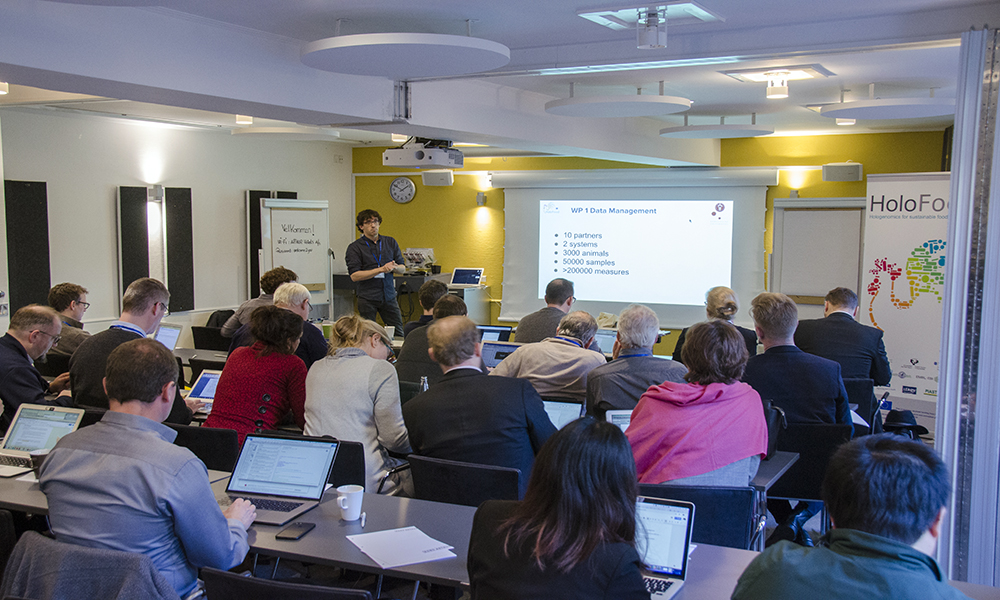 People participating in HoloFood workshop about using microbiome data to improve animal feed