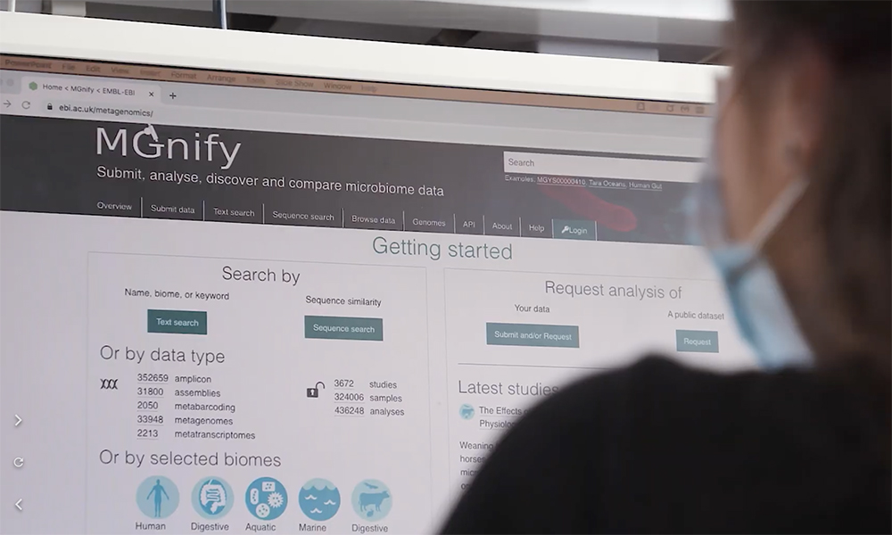 Photo of researcher using MGnify database