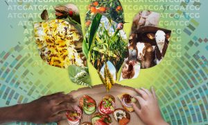 Collage showing different species that play an essential part in global food security, including cattle, pollinators and plants