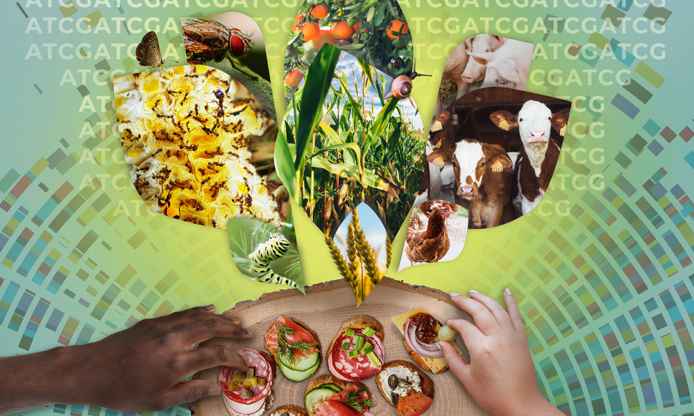 Collage showing different species that play an essential part in global food security, including cattle, pollinators and plants
