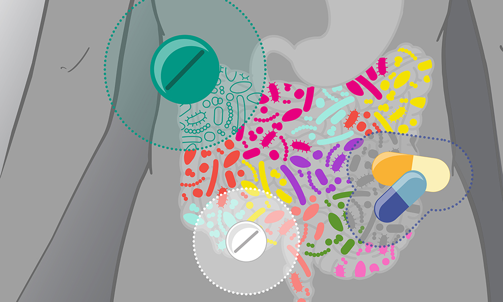 An illustration of the human gut, with coloured shapes representing bacteria. Three different drugs and drug combinations are shown affecting the bacteria, represented by changes in colour
