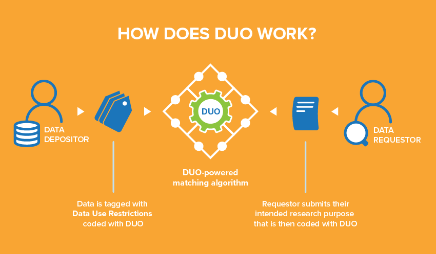 Infographic showing DUO in the centre. Either side are graphics to represent people both depositing and requesting data via DUO. 
