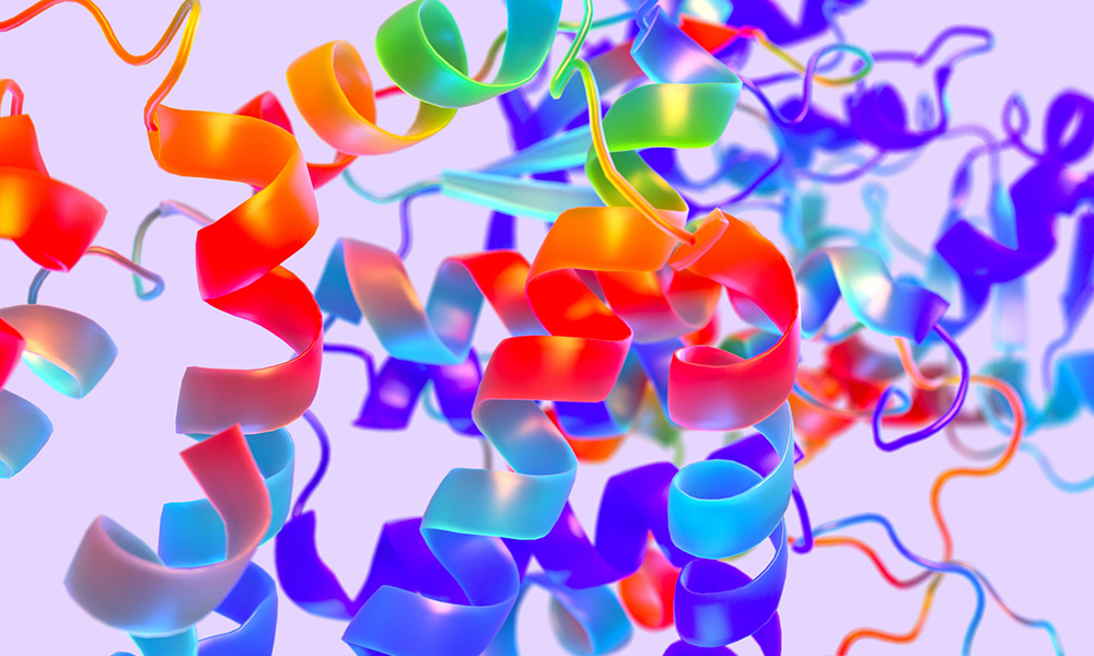 Colourful ribbons representing protein structures.