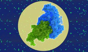 A detailed structure map shows two proteins interacting in the foreground, each shown in a different colour. The background shows small green dots marking bacteria