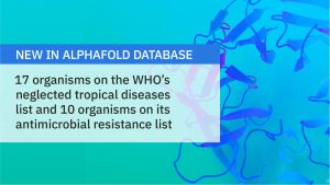 Collage with protein structure in the background and text in the foreground. Text says "17 organisms on the WHO’s neglected tropical diseases list and 10 organisms on its antimicrobial resistance list"