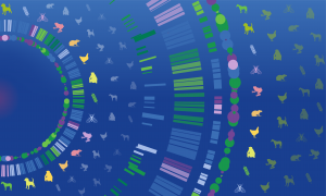 Graphic on blue background showing lots of species icons and graphic representations of genomic data