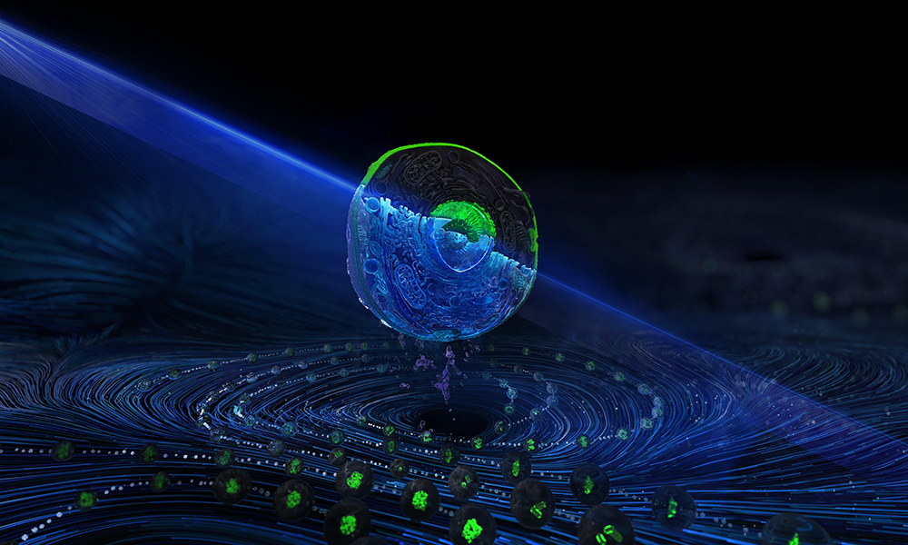 The cross-section of a cell expressing a green fluorescently tagged protein and illuminated by a blue laser is visible in the foreground, surrounded by a vortex of cells