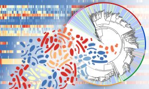 A circular graph with many lines representing microbial species and a heat map in the background to depict sequencing information