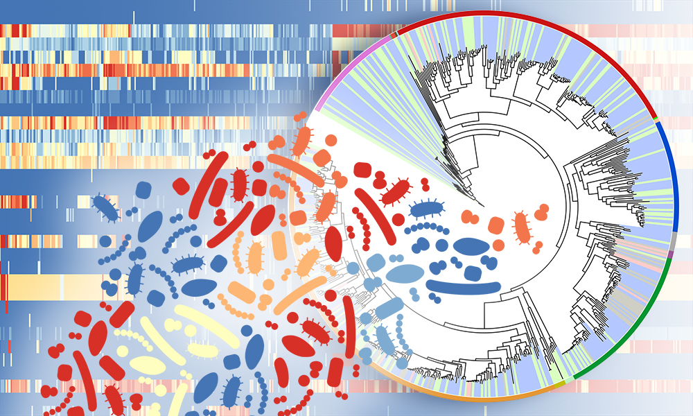 A circular graph with many lines representing microbial species and a heat map in the background to depict sequencing information