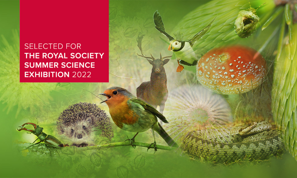 Darwin Tree of Life at the Royal Society Summer Science Exhibition EMBL