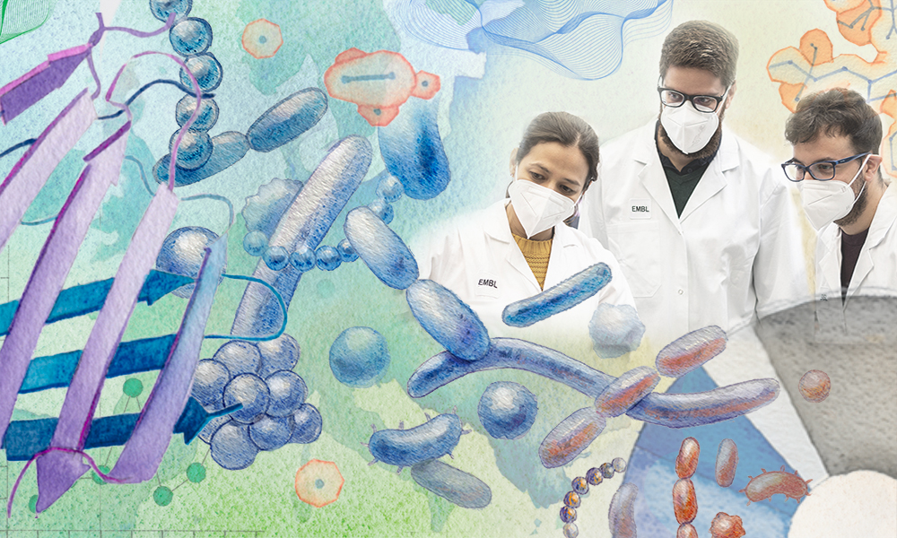 Two scientists are surrounded by an illustration of various types of molecules in pastel colours