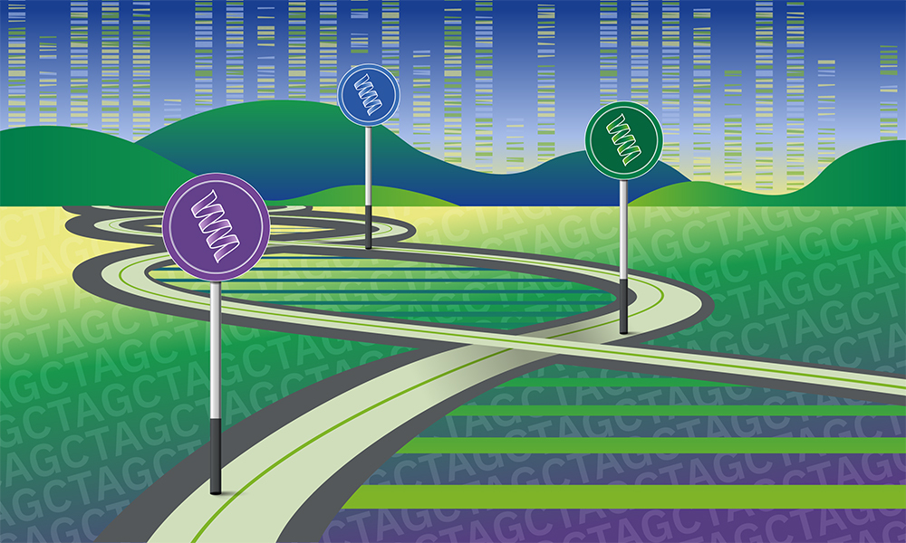 Decorative image showing a double helix DNA road and with what look like road signs.