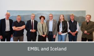 a group image of EMBL senior staff meeting with senior staff from the University of Iceland