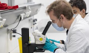 Two scientists looking through the lens of a light microscope