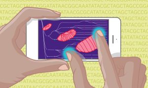 An illustration provides representation of fingers hovering over a cell phone