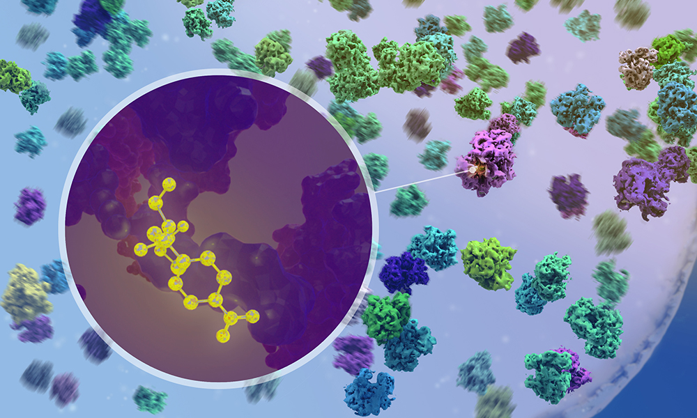 3D structures of ribosomes are shown floating in a cellular space. A zoomed in portion shows an antibiotic molecule nested in a binding site on a ribosome.