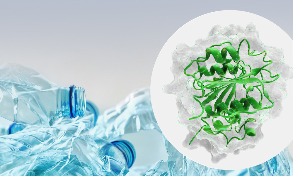 Plastic bottles and an enzyme protein structure
