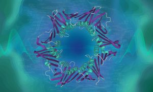 Protein structure