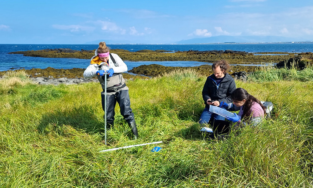 EMBL scientists sampling at the coastline of Iceland in August 2022