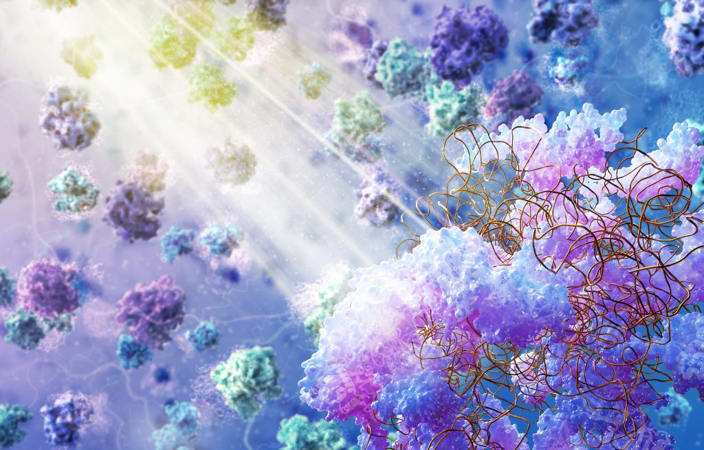In this artistic reconstruction, ribosomes can be observed in the cellular space, with different colours representing different conformational states. In the foreground, we see a close-up view of a ribosome’s structure, showing the different peptide chains that make it up.