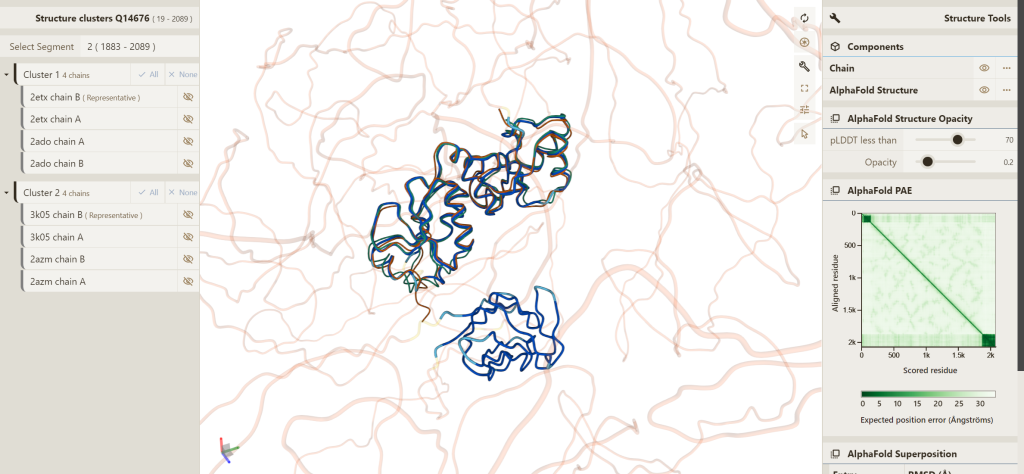 Protein structure 