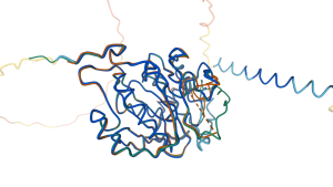 AlphaFold DB model superposed on PDB structures