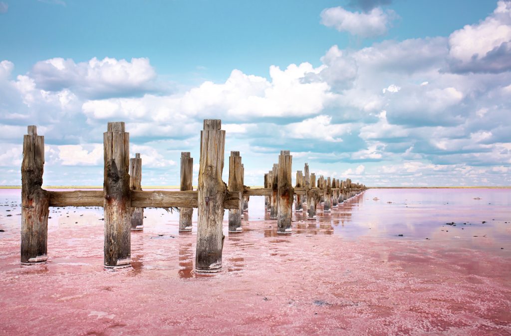 Shoreline of the Lake Hillier in Australia. The water has purple-pink colour. Credit: Adobe Stock.