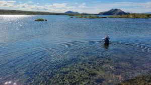 A woman can be seen collecting samples from the shallow ocean, with mountains in the background