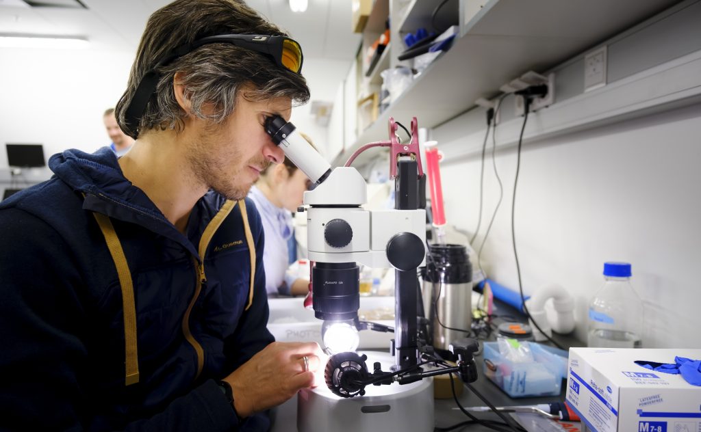 A male scientist looks through the eyepiece of a microscope