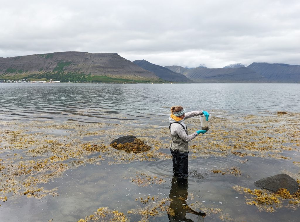 A female scientist standing waist-deep in shallow ocean water, holding up a beaker with sediments. Mountains can be seen in the background.