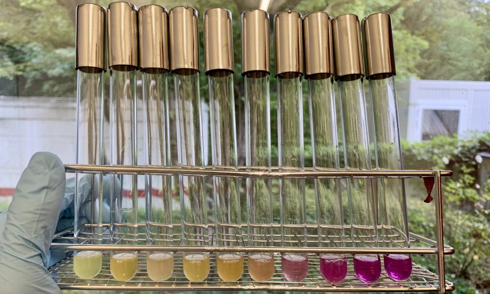 Test tubes with different colours; the deeper the red colour of the growth medium, the stronger is the disruptive effect of the drug on the bacterial envelope