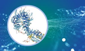 Decorative image showing a nuclear pore complex AlphaFold prediction on blue and green background.