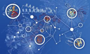 Protein interactome