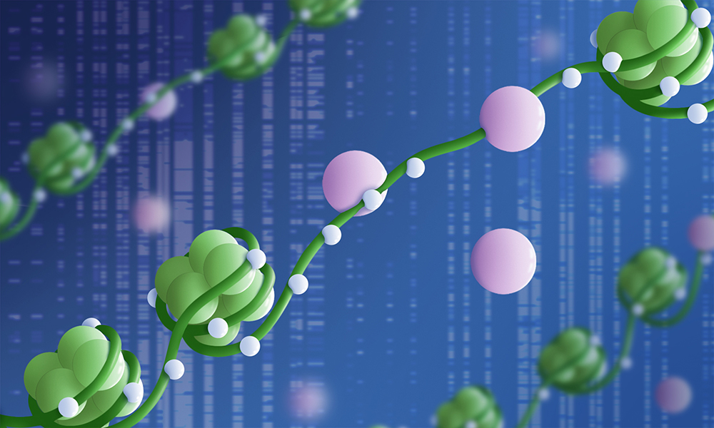 DNA is shown as green strands wrapped around histones represented as green spheres. Transcription factors (lilac spheres) are shown binding to DNA locations with our without methyl groups (white spheres). The background contains a heat map from the paper.