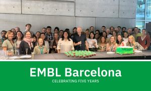 Image of a group of people behind a large, black table with two cakes on it to celebrate EMBL Barcelona’s fifth anniversary