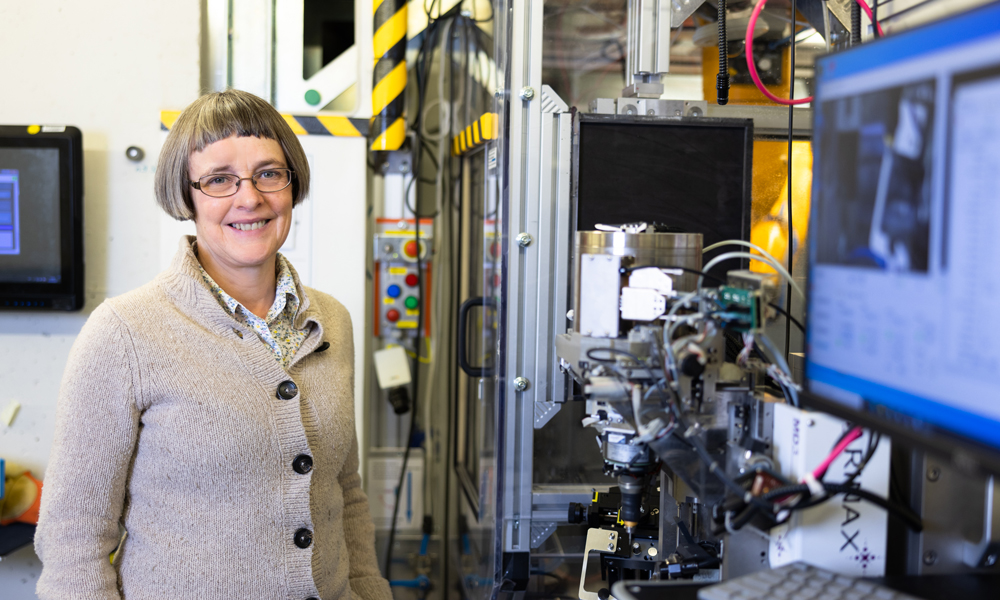 Liz Duke standing on the left side of the photo, with EMBL Hamburg's P14 beamline and a big screen on the right.