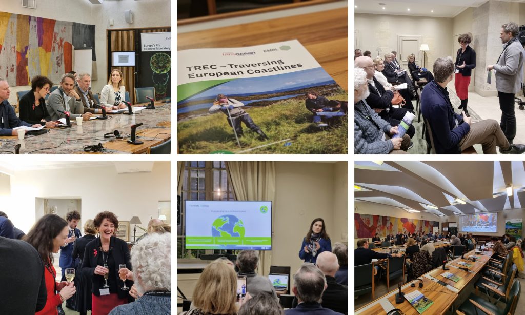 Collage of six photographs showing delegates and reporters during a press conference.