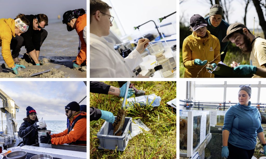 Collage of six photographs showing various groups of researchers doing field sampling.  