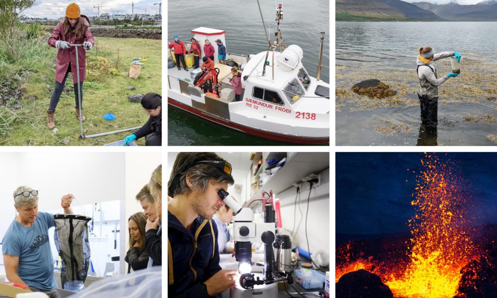 Collage of six images showing researchers collecting and analysing samples, as well as a shot of an erupting volcano.