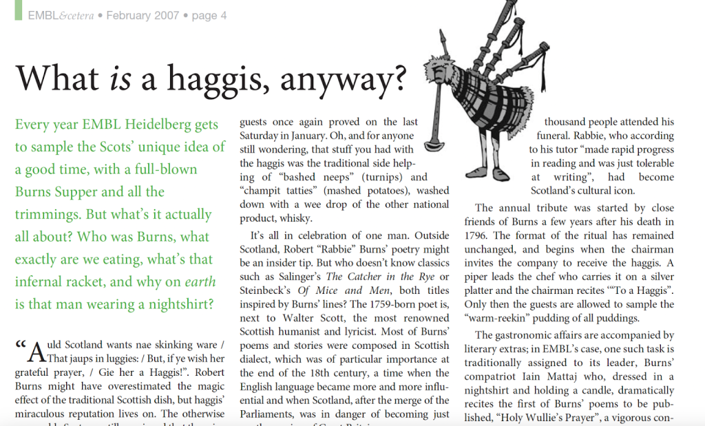 EMBLetc. clipping titled "What is haggis, anyway"