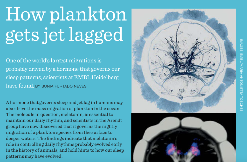 EMBLetc. clipping titled "How plankton gets jet lagged"