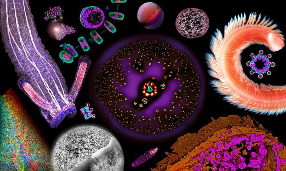 An colourful image taken from the World of Molecular Biology exhibition.