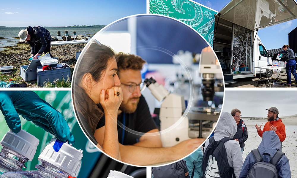 Collage of five photos depicting activities during the TREC expedition: sampling, collecting data and microscope analysis.