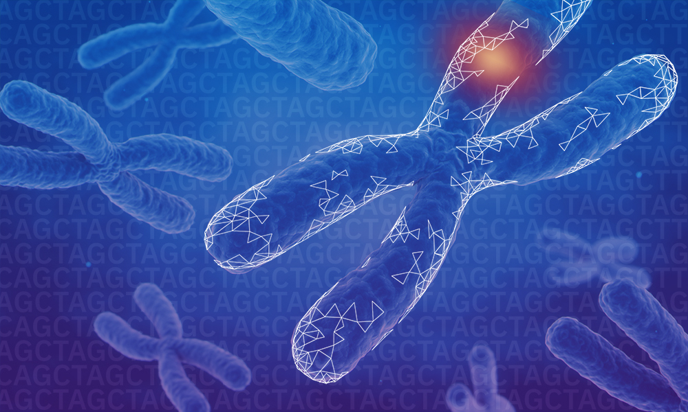 Chromosomes with a red glowing spot to indicate genetic variation