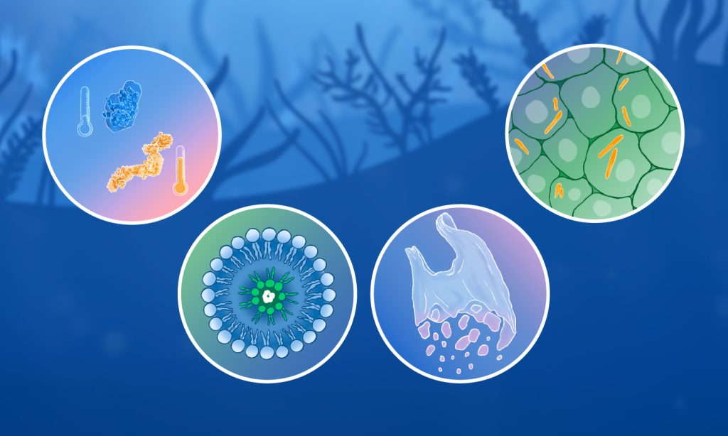 A drawing of four bubbles, each representing a different application of bio-SAXS. First bubble: two different molecular structures at different temperatures. Second bubble: a lipid nanoparticle. Third bubble: plastic bag in the water falls apart into tiny pieces. Fourth bubble: cells with elongated orange crystals inside them. The blue background represents water.