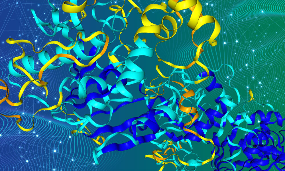 A protein structure